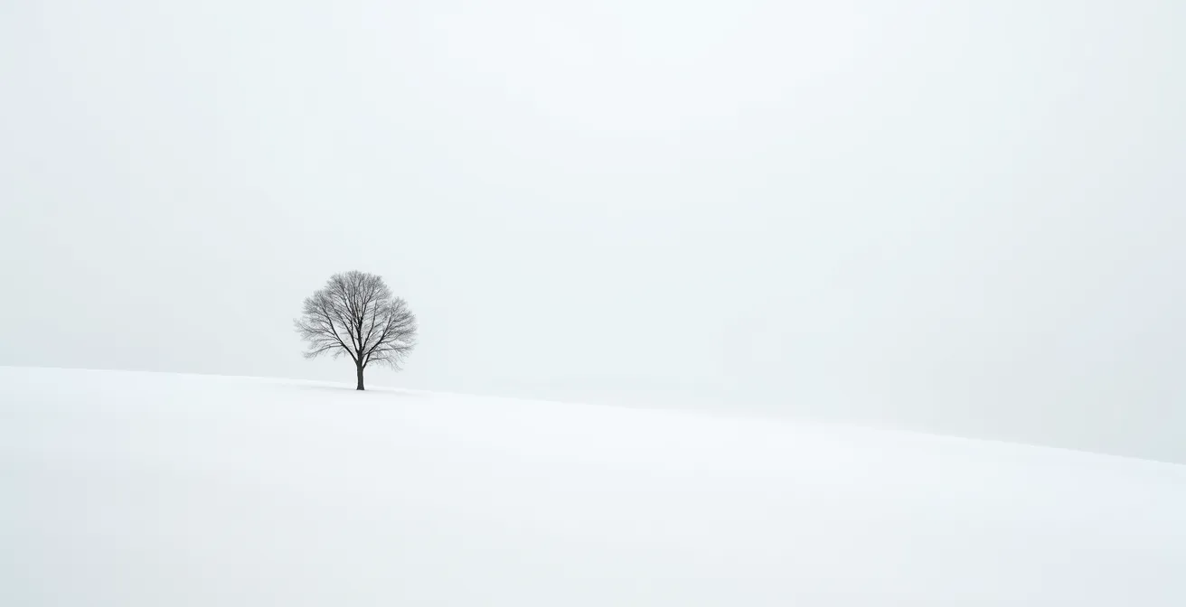 Minimalistisches Foto mit einzelnem Objekt in weitem negativen Raum